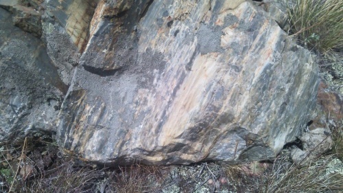 Гигантские зелёные валуны для ландшафтного дизайна весом более 5 тонн купить в Республике Крым