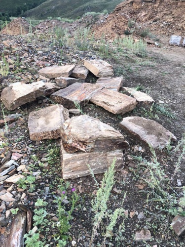 Плитняк кора дерева 50-100мм для пошаговых дорожек купить в Республике Крым